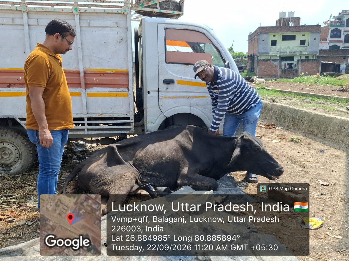 Lko_VivekSharma's tweet photo. लखनऊ में दिखा..शासन के अफसरों की बेहतरीन कार्यशैली व संवेदनशीलता का शानदार.. उदाहरण! वाह🎉
लखनऊ के बालागंज क्षेत्र से मिली सूचना पर #LMC पशु कल्याण अधिकारी डॉ. अभिनव वर्मा जी व पशुपालन विभाग के #CVO डॉ. सुरेश जी की तत्परता से डॉक्टरों की टीम व रेस्क्यू टीम मौके पर पहुंची..अस्वस्थ्य गाय के इलाज के साथ साथ पशु मालिक द्वारा स्वयं देखरेख का लिखित आश्वासन भी लिया गया..😊
अधिकारियों के इस त्वरित रिस्पॉन्स और उत्कृष्ट कार्यशैली के लिए पशुपालन विभाग व LMC की पूरी टीम का आभार! 🙏..@DOAHUP
@LMC_Lucknow
वैसे ..ऐसे ही कुछ चुनिंदा कर्तव्यनिष्ठ अफसरों से शासन की छवि सुदृढ़ होती है..श्रीमान..@CMOfficeUP @dharmpalbjpmla @AKSharmaOffice @ChiefSecyUP
@InfodeptUP