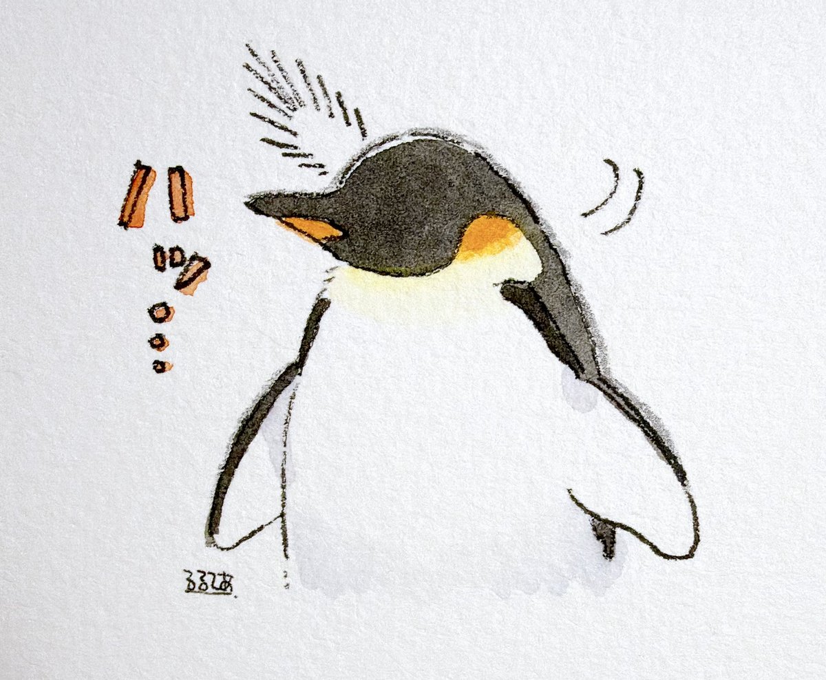 k_r_r_l_l_'s tweet photo. どうしましたか、大人のペンギンさん https://t.co/7jevxuWXzj