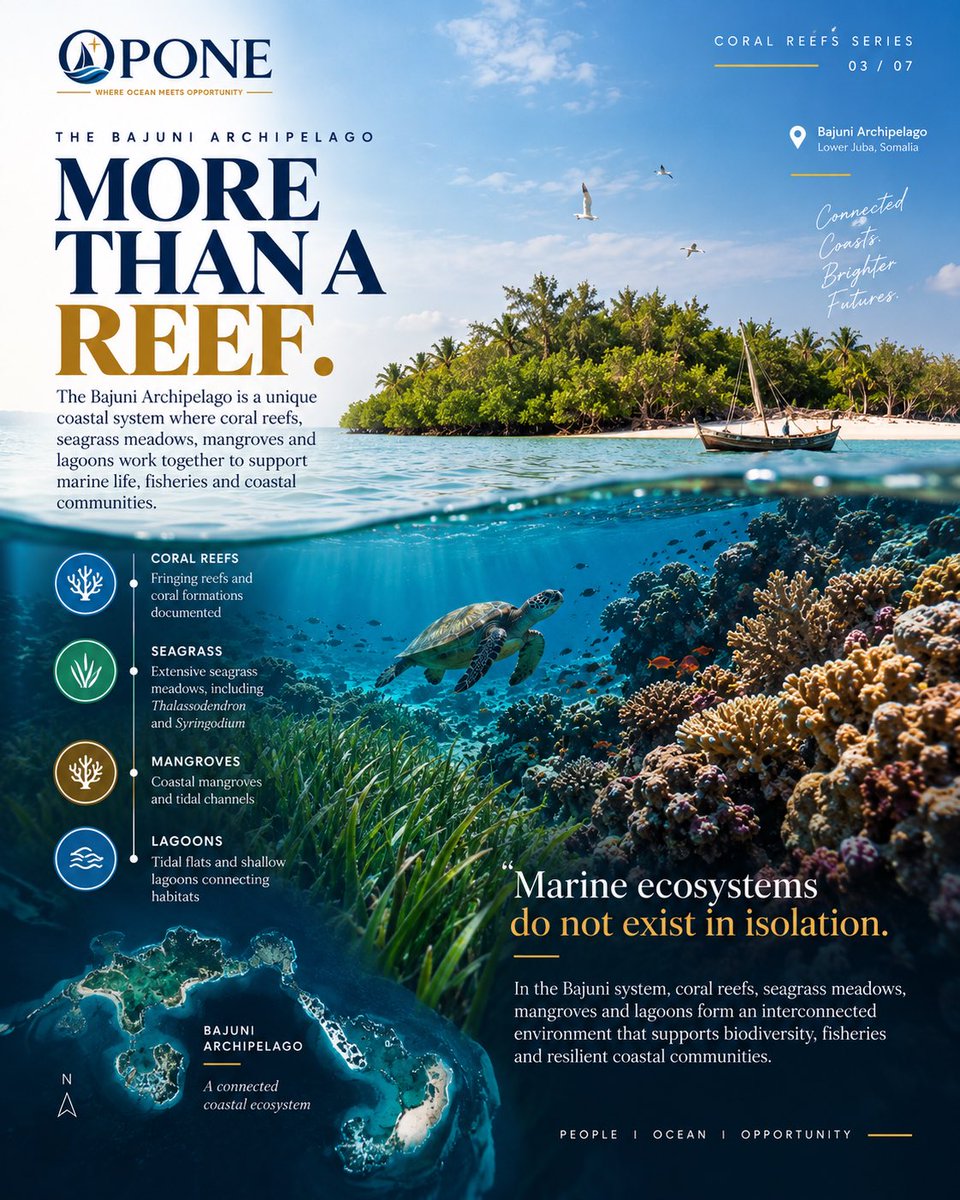 opone_so's tweet photo. KNOW THE REEF BEFORE WE VALUE IT. 🌊

Somalia needs evidence:
🗺️ Map
📏 Measure
🔄 Monitor
🛡️ Protect
⚙️ Manage

Understand reefs, fish, communities &amp; ecosystem connections before building Blue Economy opportunities around them.

📖 Full editorial soon: https://t.co/0udLAFt1hi https://t.co/SBo3CPBcLh