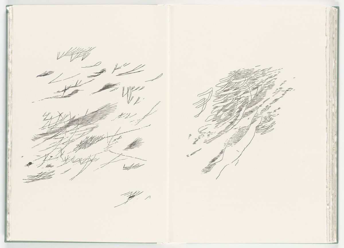 DlSPUTED's tweet photo. Poetry of Sappho.

featuring illustrations by Julie Mehretu. https://t.co/PStTBUzhGU