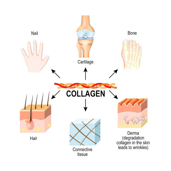 superpower's tweet photo. There's a peptide in your blood that drops by more than half by age 60.

It's tied to collagen, hair growth, and wound healing.

In trials, restoring it closed diabetic wounds 3x faster and improved wrinkles, firmness and skin density in 12 weeks.

Here's the breakdown: (1/17) https://t.co/k3Yts5yTO7