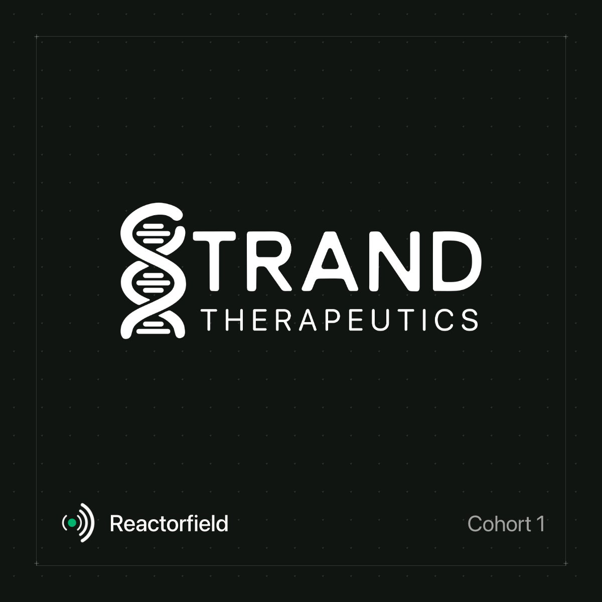ReactorfieldAI tweet picture