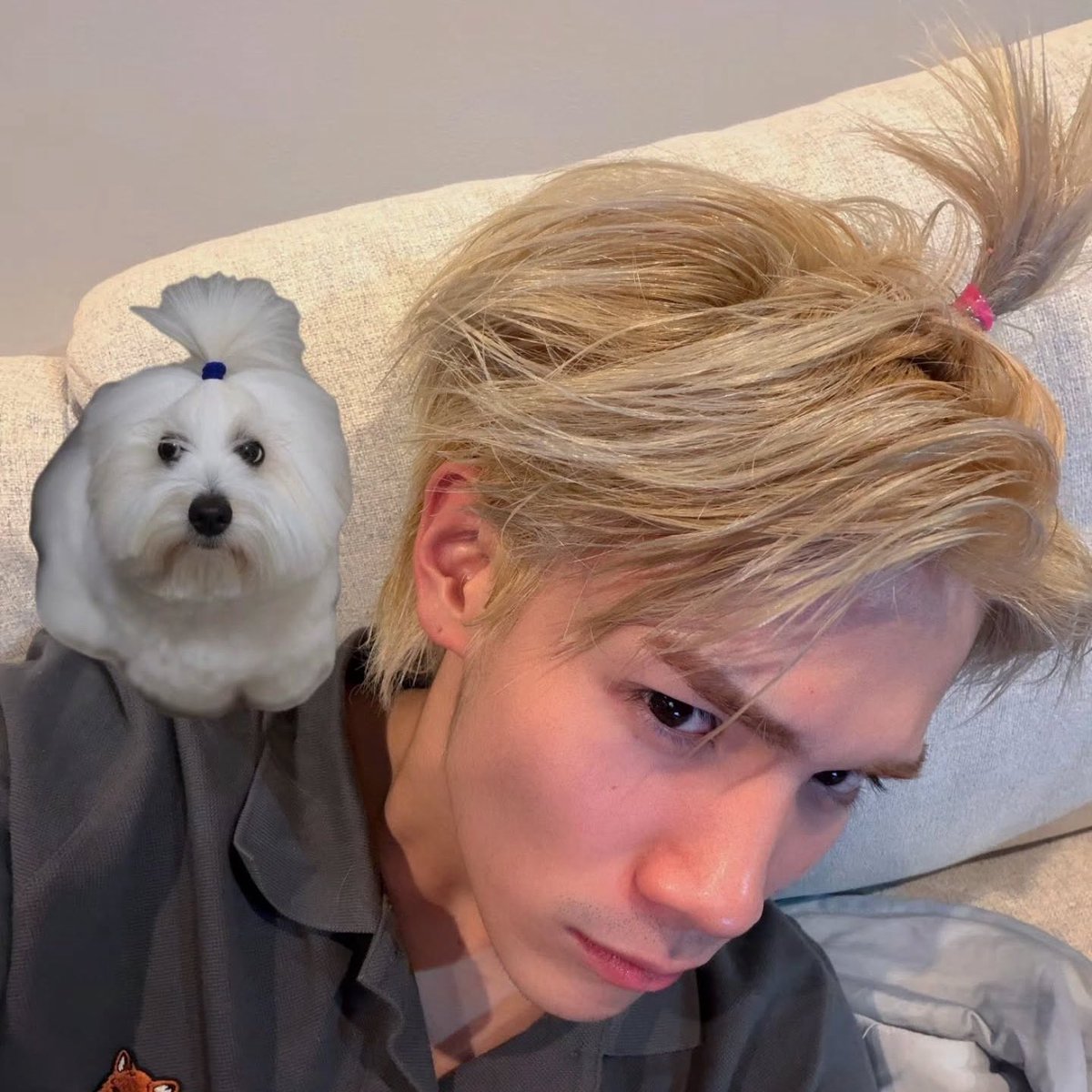 _iamnornorrr's tweet photo. สำเนาถูกต้องเยยนิน้องโฟ้ด.ᐟ 🐶 https://t.co/6ONBHtnhVg