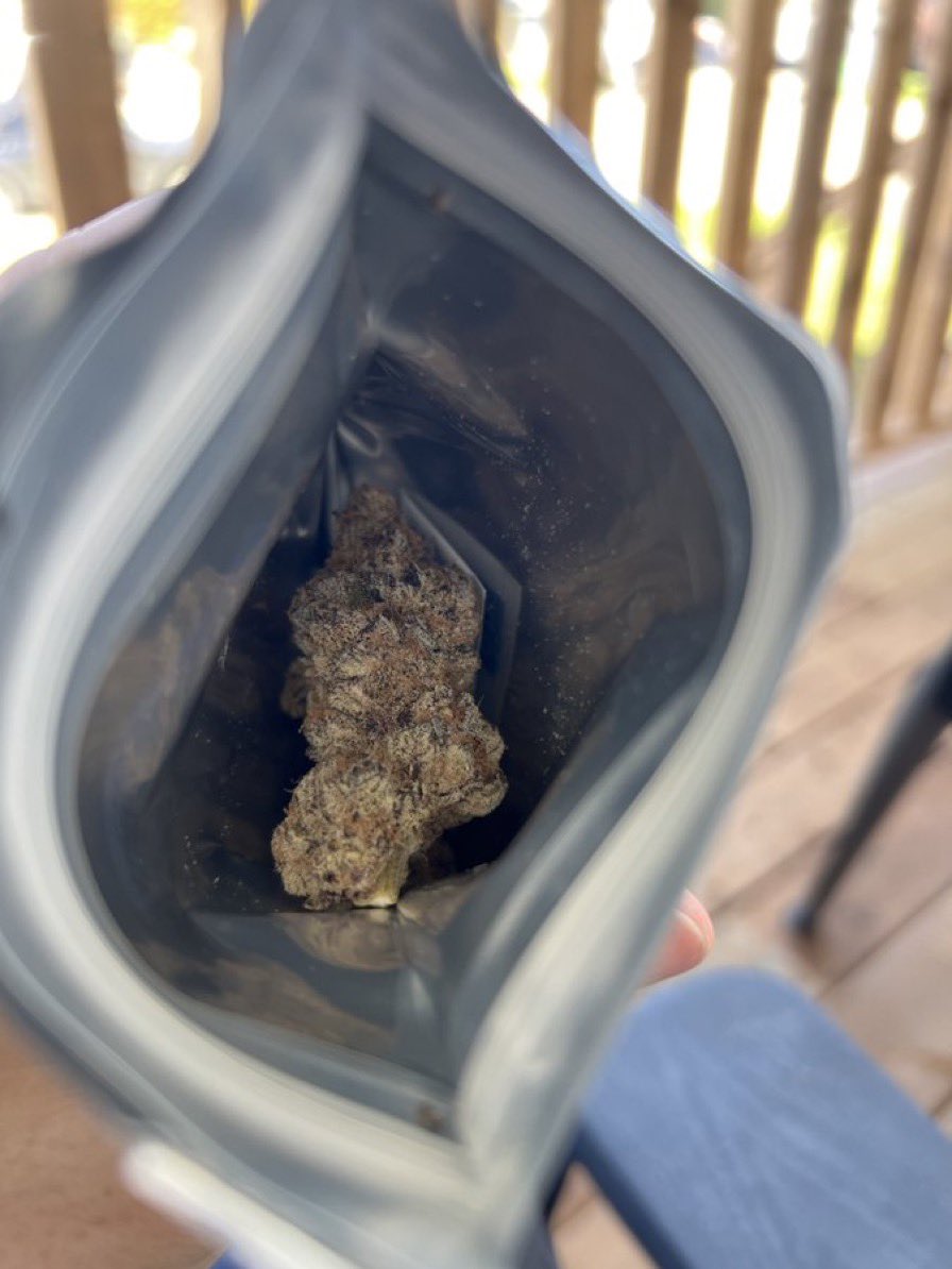 CloudKings5's tweet photo. Exclusive ⛽️💨 weed Rennes weed Brest weed Quimper weed Lorient weed Vannes weed Saint-Malo weed Saint-Brieuc weed Fougères weed Lannion weed Dinan weed Concarneau weed Morlaix weed Pontivy weed Auray weed Redon https://t.co/JzgrXCWhWA