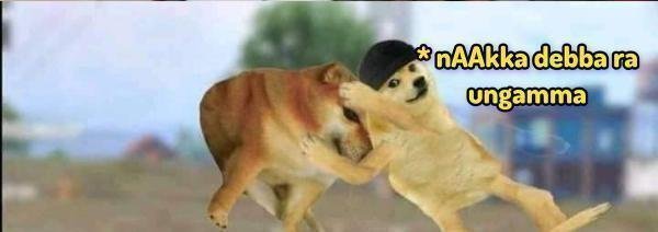 Movie_Buff9's tweet photo. BhAAi laa guts levu niku https://t.co/dHW8RLjM4q