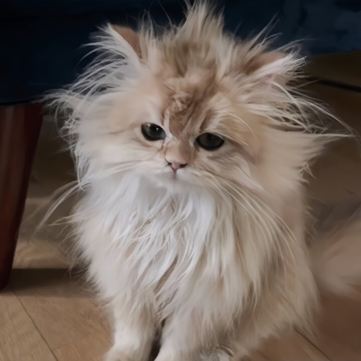 justonlyme1919's tweet photo. เหมียวเร้กกก🥺🐱🫳🏻 https://t.co/Xj5v8WOuoP
