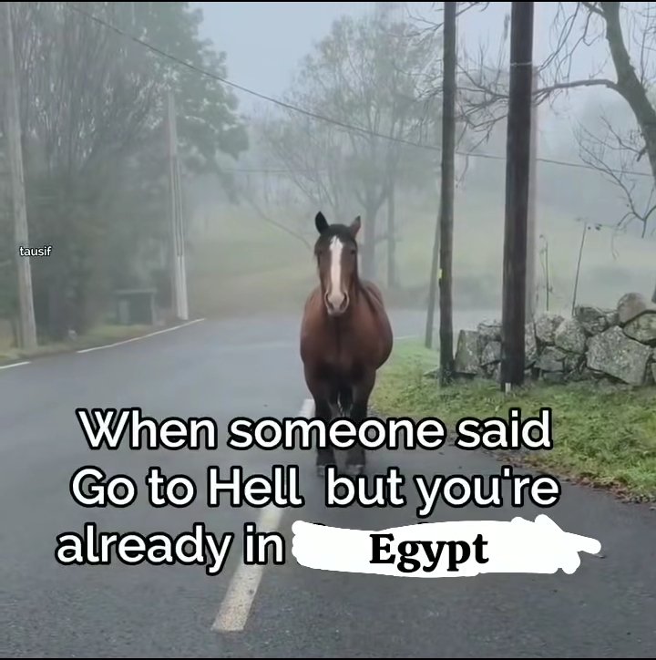 meshahmed0's tweet photo. https://t.co/tZlmCODNlS