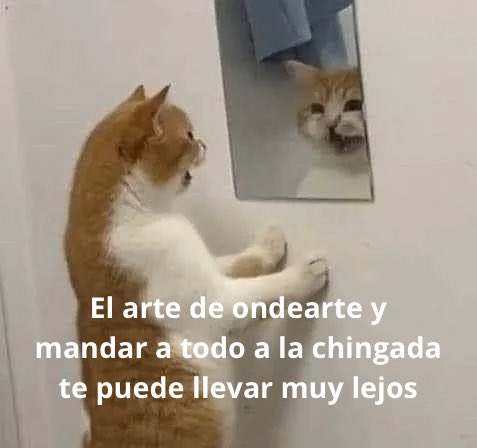 conoloracigarro's tweet photo. https://t.co/KX8NwFzb7T