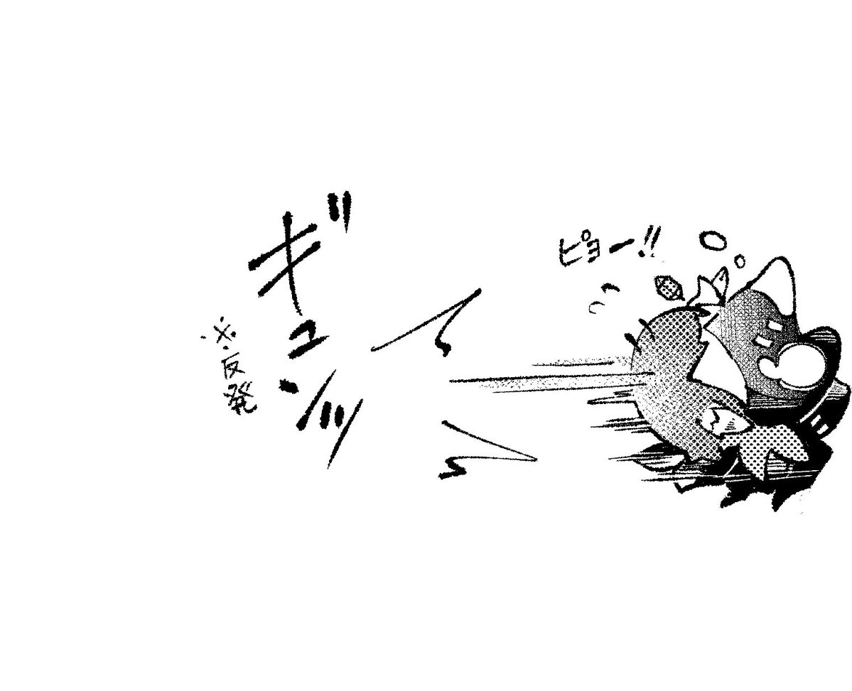 syasinshasin's tweet photo. ﾋﾟﾖﾋﾟ🐦‍⬛ https://t.co/SvET3BuQKQ