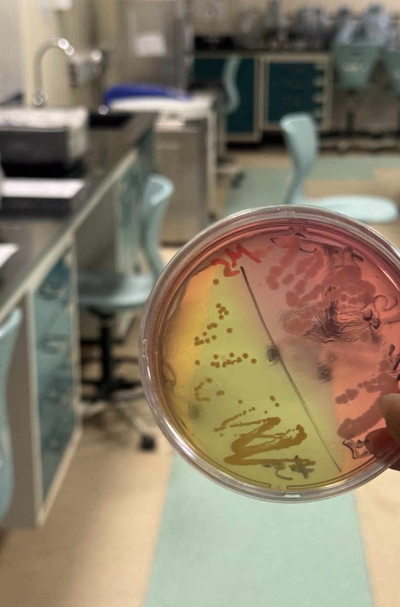 asiiisaw's tweet photo. 🧬⭐️🧫💉🏋🏻‍♀️ https://t.co/VbxnRY12M6