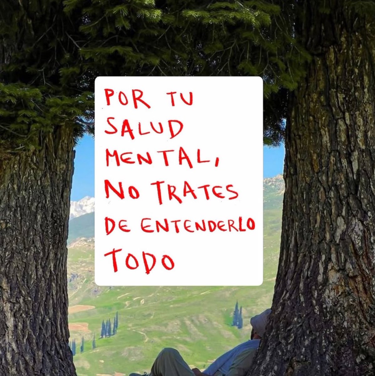 _ezesantucho's tweet photo. https://t.co/rmwvz0pypa