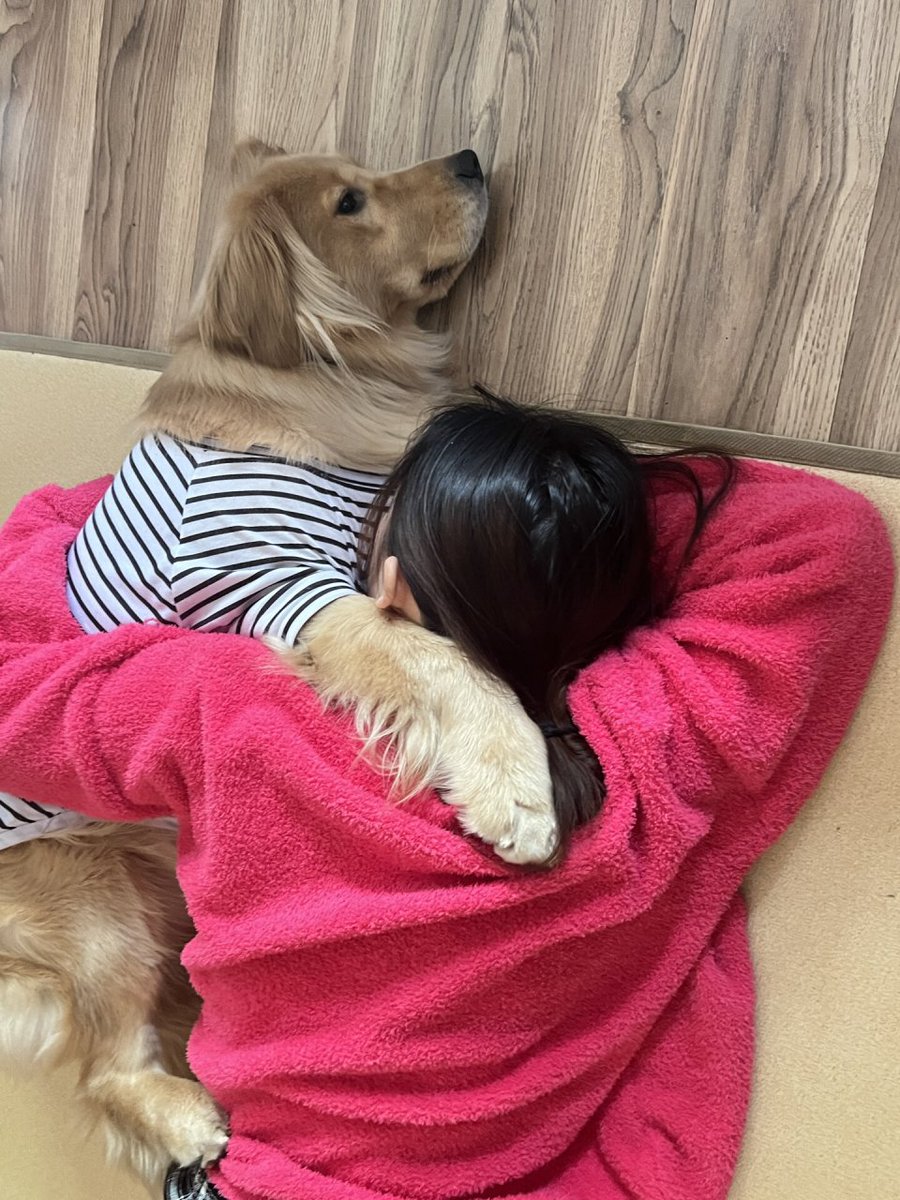 nursyafa49's tweet photo. My senior pup spent the whole sunny afternoon snuggled on my lap—no fancy adventures needed, just warm fur and quiet joy. ， https://t.co/MQlsn9Gq7i