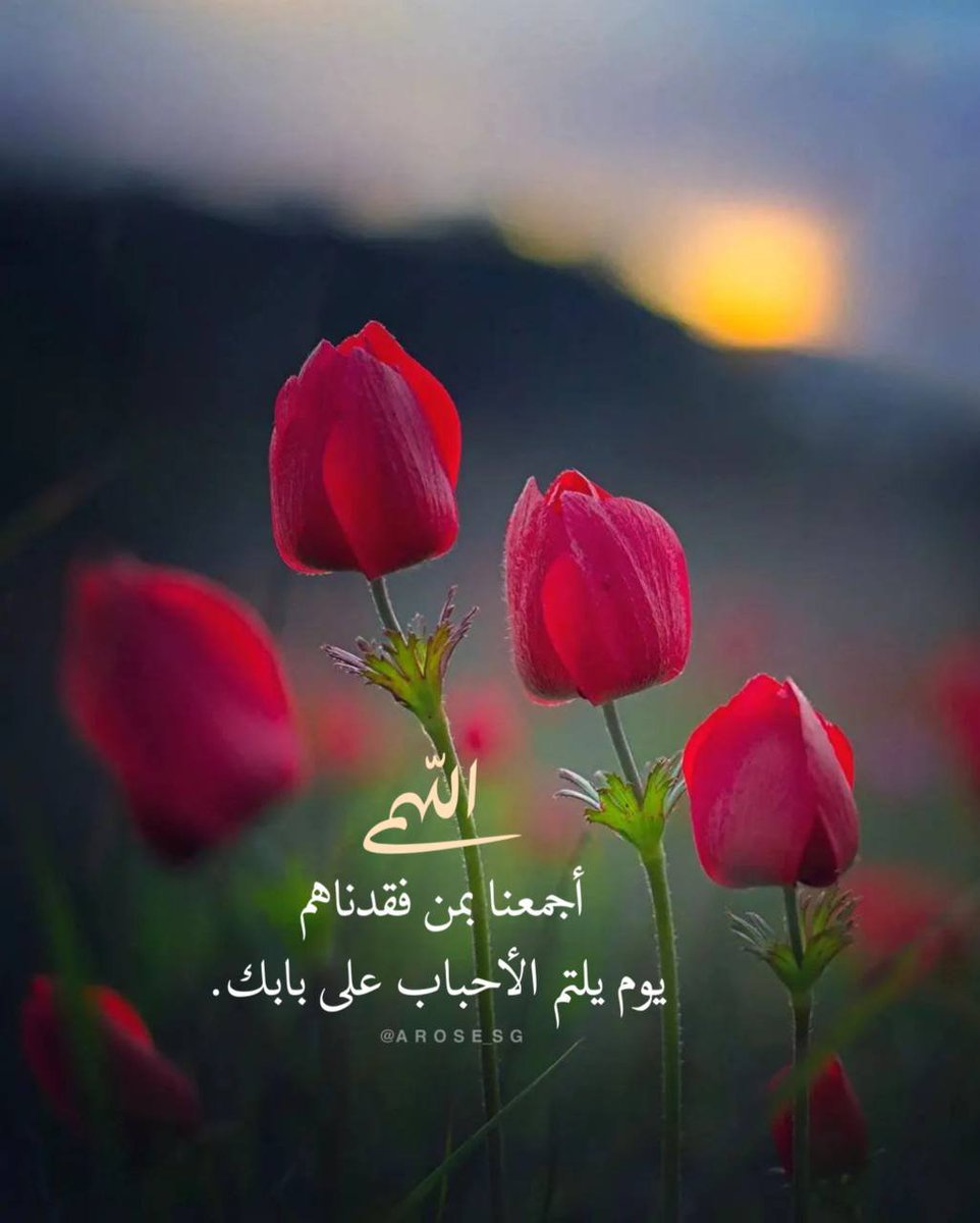 l22__ll0's tweet photo. اللهم أجمعنا بمن فقدناهم 
يوم يلتم الأحباب على بابك. https://t.co/Ej5AM7FqEs
