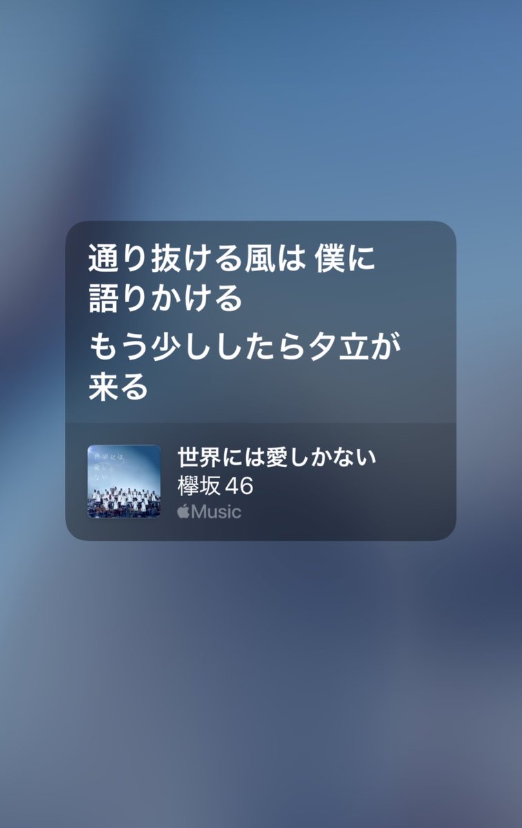 39bliss__'s tweet photo. "世界には愛しかない"っていう大きな言葉を、風とか雨とかアスファルトみたいなものすごく小さな景色で証明していくのが美しい。 https://t.co/4GvH6JbyOw