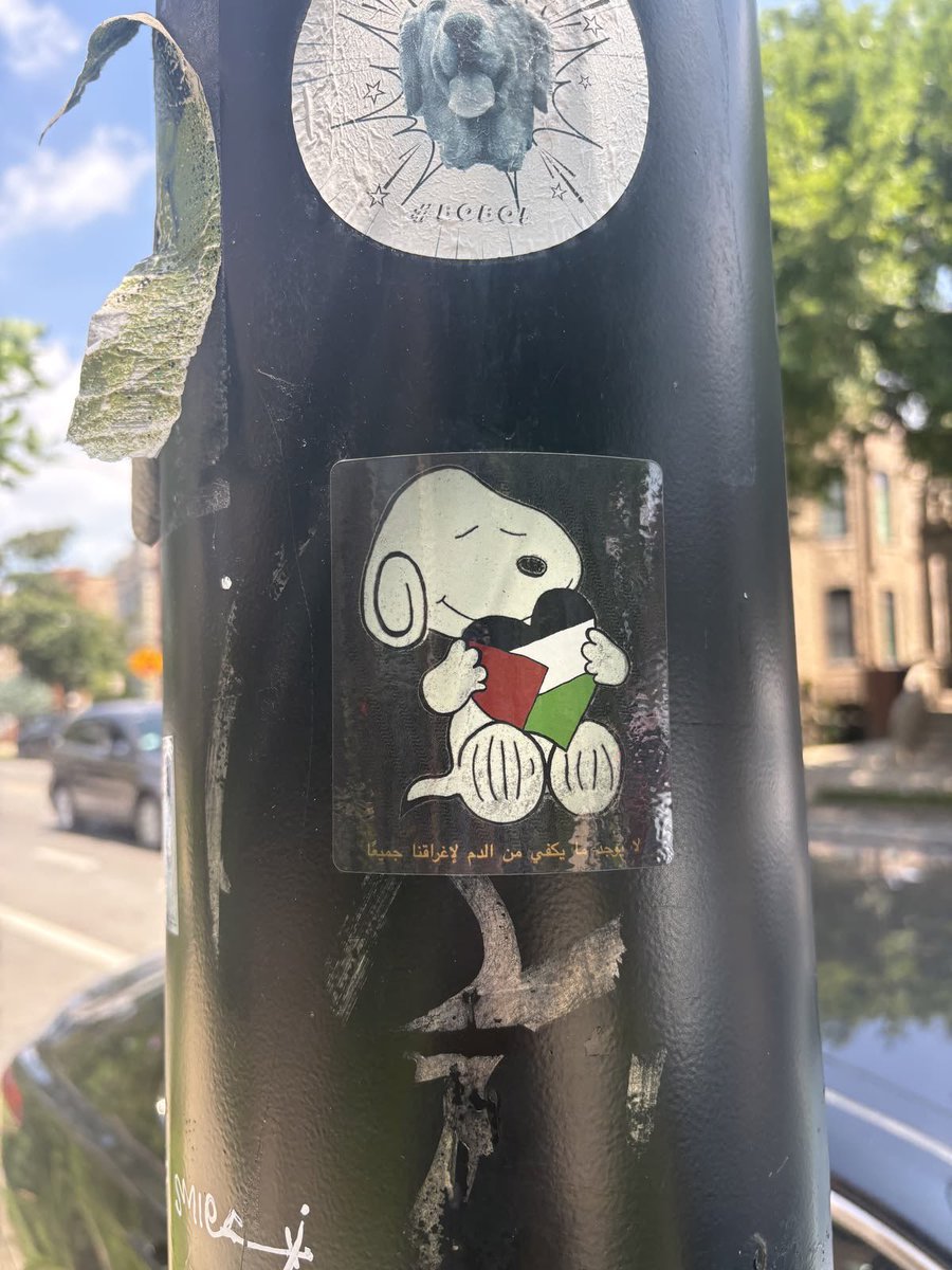 DailySnoopys's tweet photo. https://t.co/ltYfxVdRS7