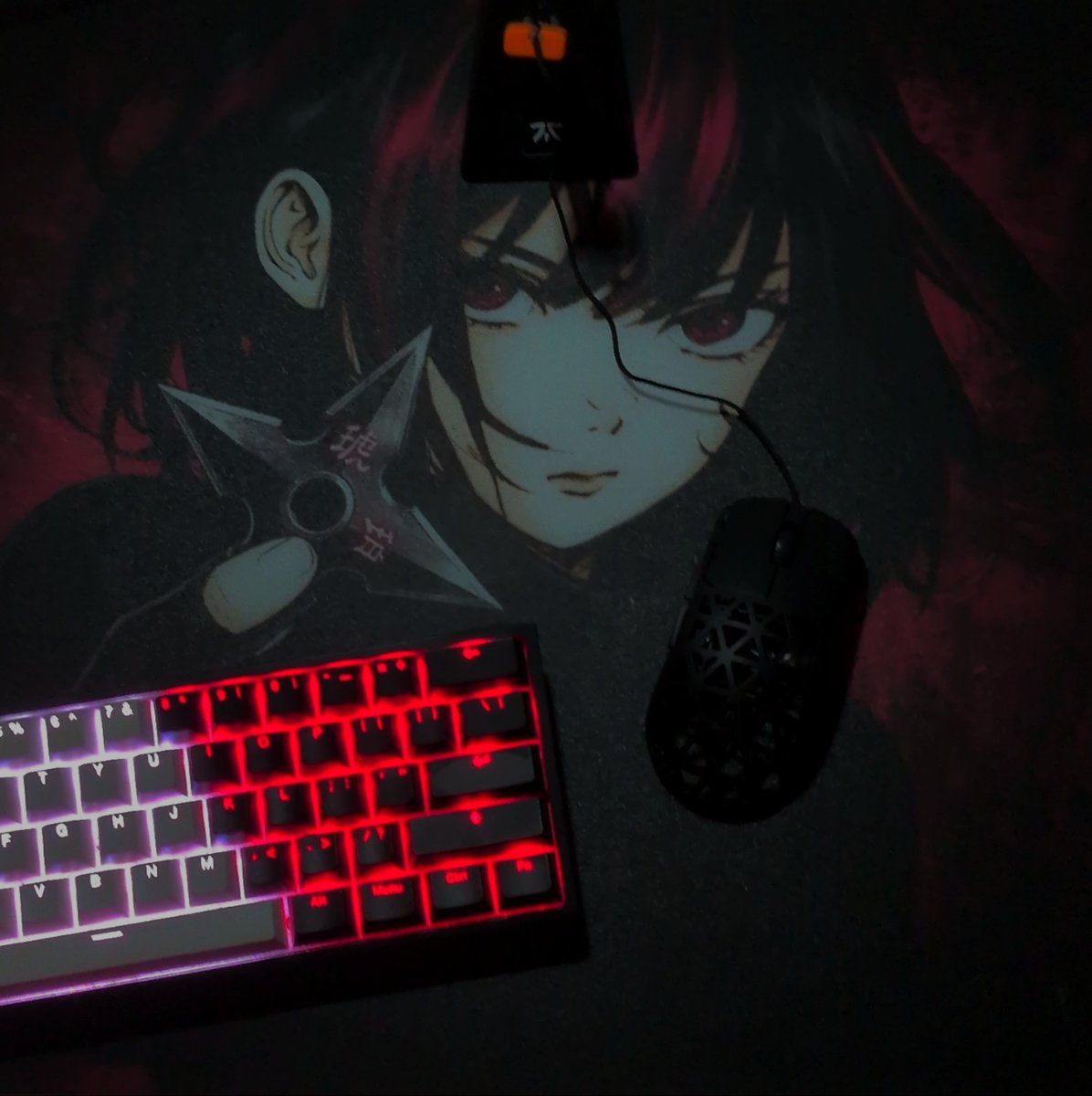 antiaimamber's tweet photo. Kohaku ❤️
this will be on my desk a while
298/1300 https://t.co/XHBdeFJusJ