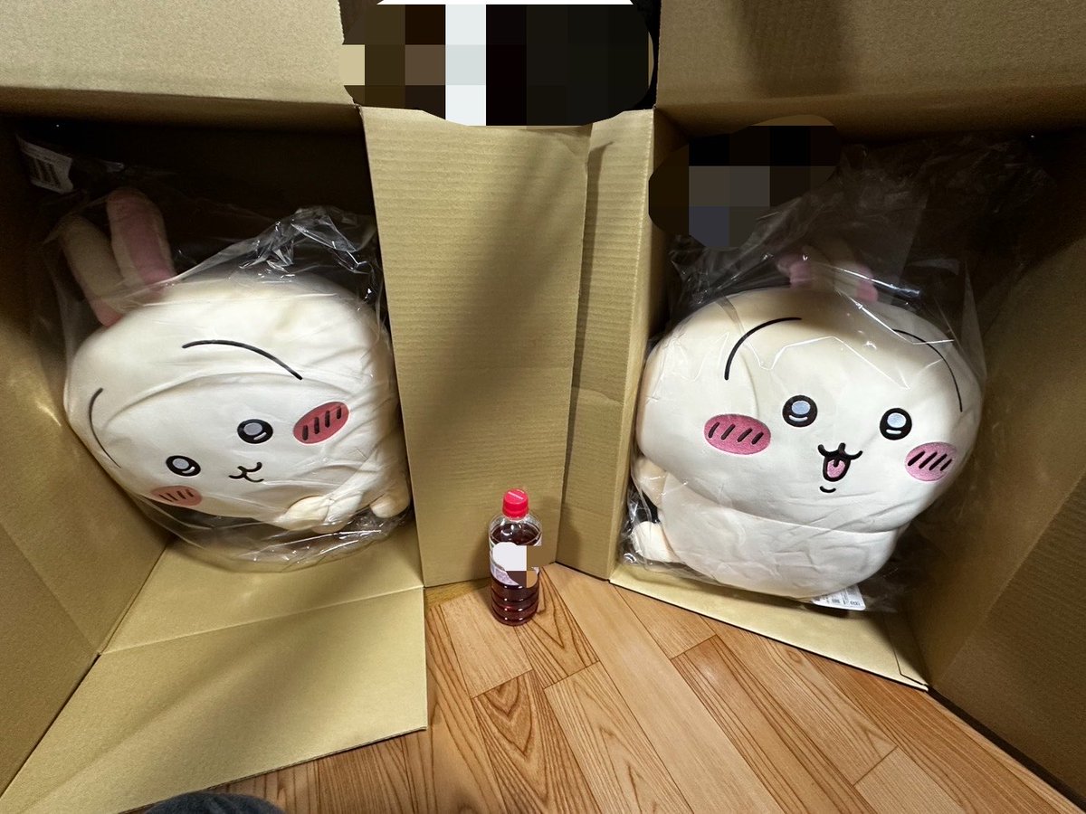 lpttzh's tweet photo. そしていきなりこんな大きいダンボール2つが届いてめっちゃビックリしましたが、開けた瞬間最高な気分でした☺️
宅配便の方にはめっちゃ迷惑をかけてしまいました😅 https://t.co/019jUSjYTe