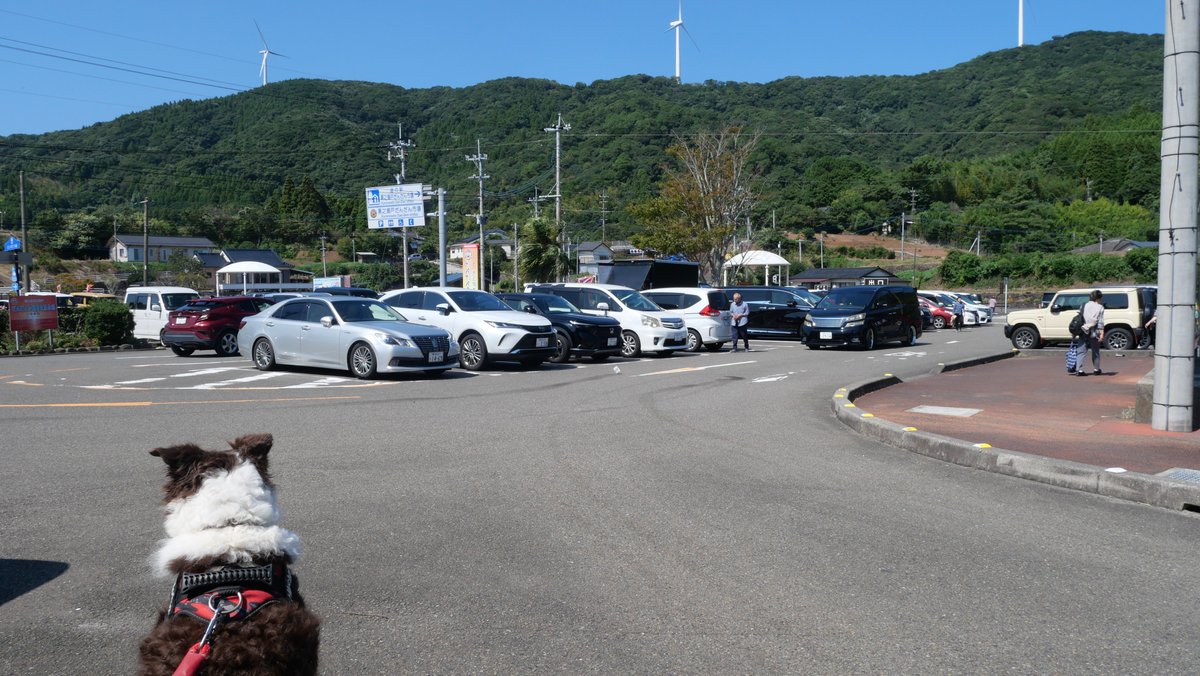 border_mocha's tweet photo. 鹿児島おでかけ最終日！
今日は長島のほうへ
なにやら映えスポットがたくさんあるらしい
まずは道の駅黒之瀬戸だんだん市場と
だんだん市場からいけるうずしおパーク https://t.co/BZNd9zPZIn