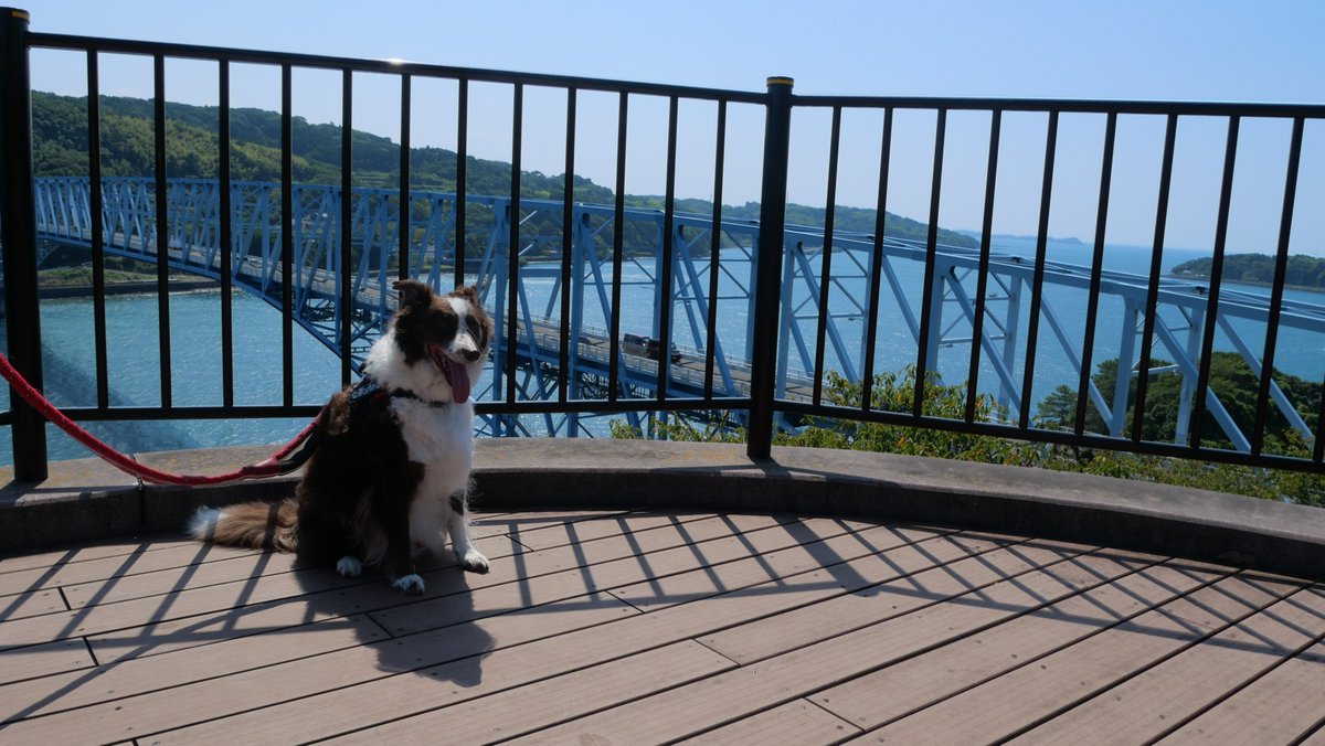 border_mocha's tweet photo. 鹿児島おでかけ最終日！
今日は長島のほうへ
なにやら映えスポットがたくさんあるらしい
まずは道の駅黒之瀬戸だんだん市場と
だんだん市場からいけるうずしおパーク https://t.co/BZNd9zPZIn