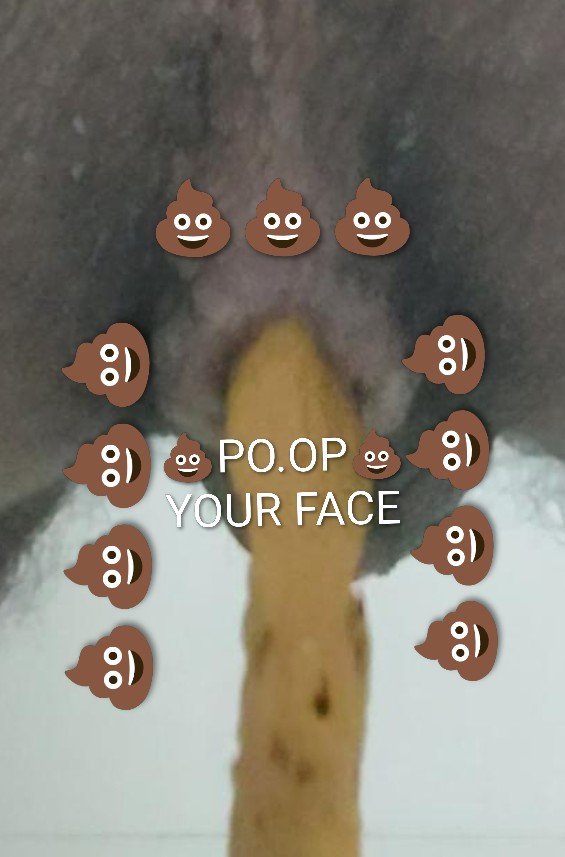 Sayn150813's tweet photo. @crystal_lust112 Your face and existence=my poop diarrhea, wanna eat? Lol. You're just my poop and nothing more, go eat my poop 😂 https://t.co/MjeamJXTF5