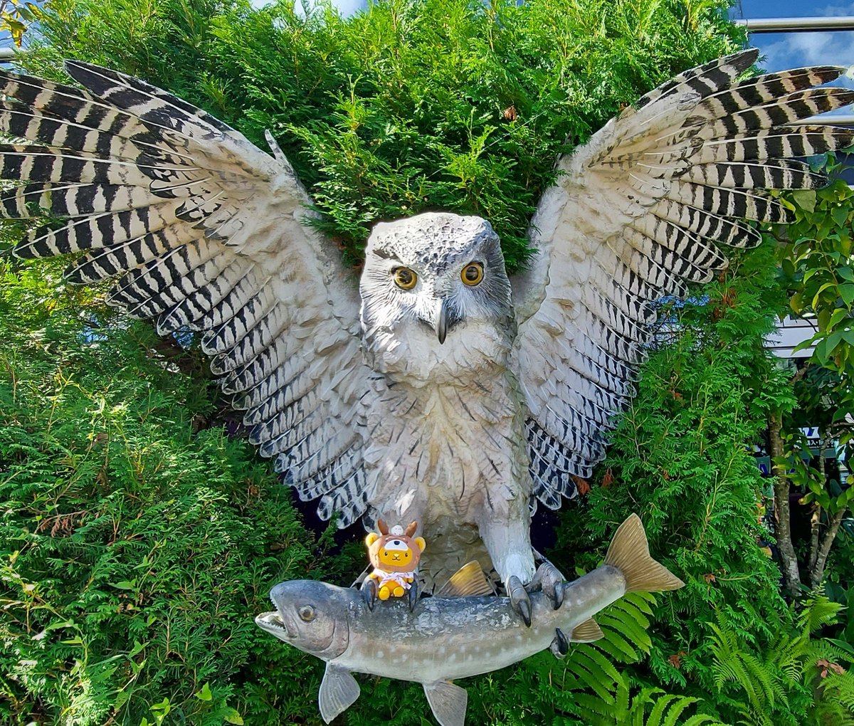 ayk_cc55's tweet photo. 初めての釧路空港へ。
みんなが撮ってるフクロウとキュンちゃんの写真に憧れてたので実績解除出来ました(*´꒳`*)
あるじ～いつか飛行機に乗ってみたいキュ～ン🛩️ https://t.co/1M8CxLjpdy