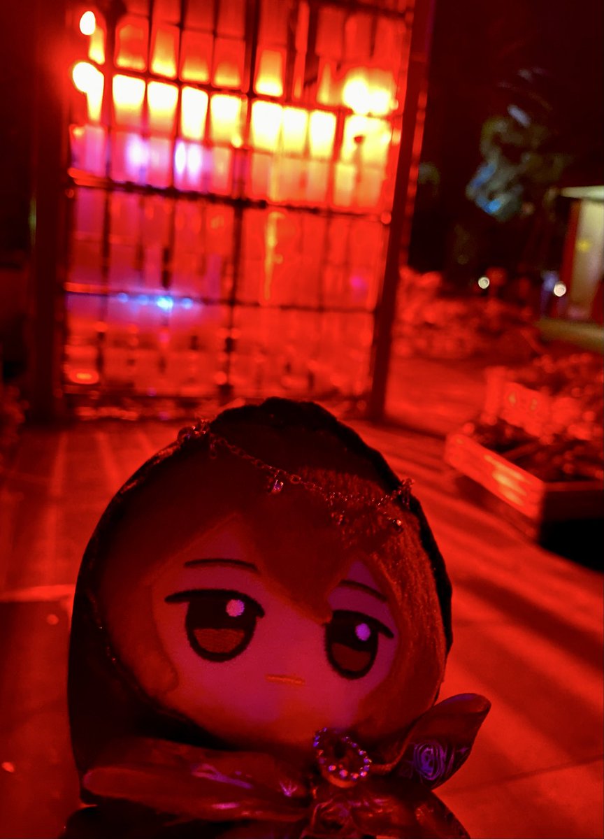 Lsannoniwa's tweet photo. お出かけ！ https://t.co/jggYVAuFCE