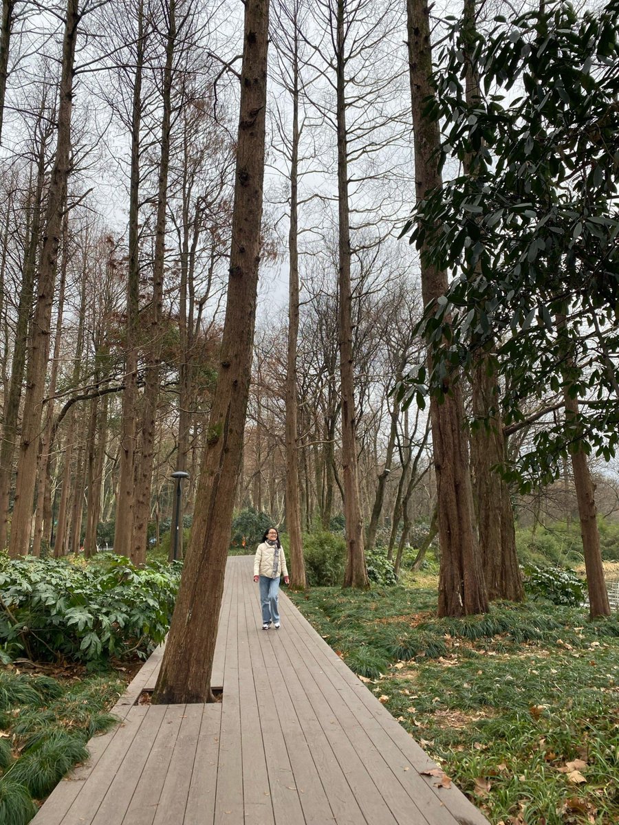 XiaoPetrulcyd's tweet photo. Just wrapped up a quick weekend trip to the West Lake! Fresh air, stunning views and great coffee by the shore — perfect little escape from the city hustle. https://t.co/cOgg4zF7CW