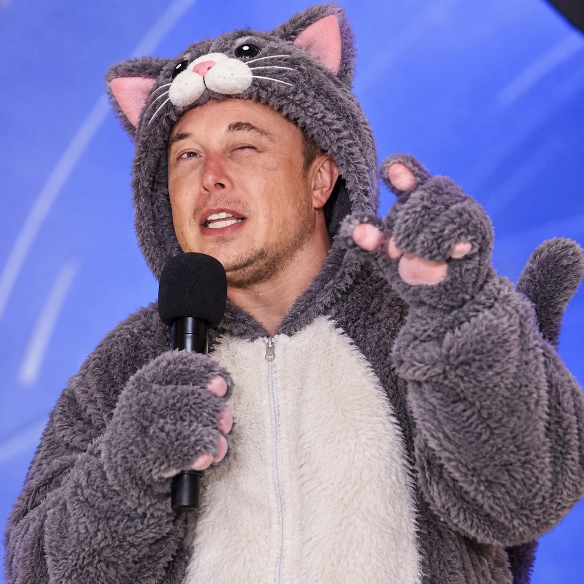 therocketman088's tweet photo. Cat mode is officially activated! 🐱😎😂

I look way too comfortable in that outfit, maybe the cat family has finally claimed me! 🐾

A. I’d follow you, you looks adorable in the outfit! 🥰

B. Please go change! 😂 This is too much! https://t.co/xmUUz4Ik14