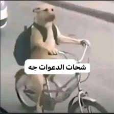 itz7amadme's tweet photo. @Fofo1650901 العاطلين في الكومنت https://t.co/OpZMPSaIas