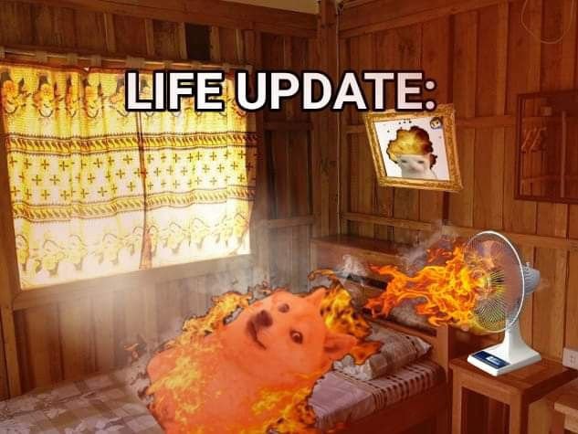 saldoublecheese's tweet photo. Another life update https://t.co/e4FyqRXY7A
