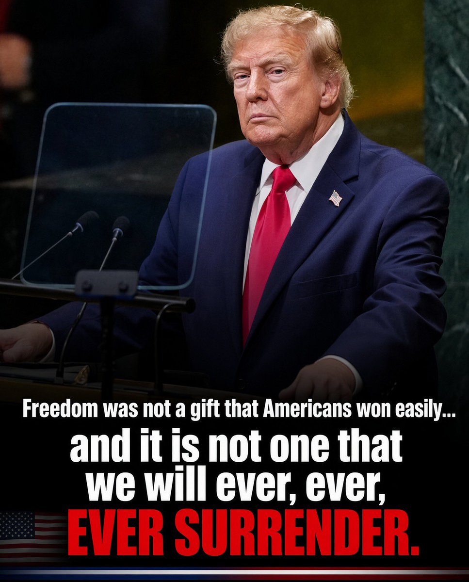 mymomcare's tweet photo. I think the best line in President Trump’s speech today at the UN.

Freedom wasn’t given.

It was won.

And we will never, ever, ever surrender it. 🇺🇸

Amen. https://t.co/AjN9gvwL1q
