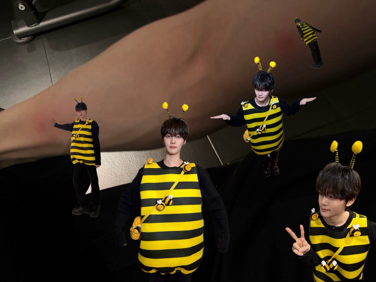 ttalgiily's tweet photo. it wasn’t a mosquito it was 5 bees https://t.co/ipRz6fcNb2