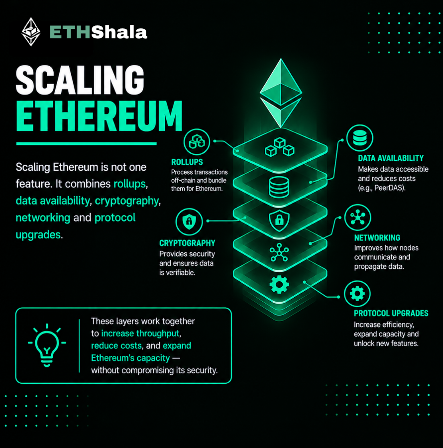Its_EthShala's tweet photo. Ethereum scales through several layers of work: rollups process activity, data improvements reduce costs &amp; protocol research expands capacity without abandoning security. 

Explore PeerDAS and active research on ETHShala: https://t.co/oG6nrGjrGT 
#EthereumScaling https://t.co/GKYgxW8ZLz