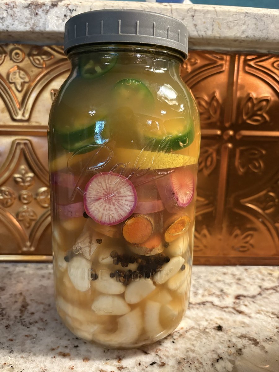 mulberrytreeapp's tweet photo. 🌿🔥 FIRE CIDER 🔥🌿

Fire cider is a traditional herbal vinegar tonic made by infusing apple cider vinegar with ingredients like garlic, ginger, onion, horseradish, citrus, and hot peppers. It’s been enjoyed for generations as a bold, warming addition to a from-scratch kitchen.

It’s spicy, tangy, savory, and incredibly easy to make at home!

🌿 Homemade Fire Cider

Ingredients:
• 2 cups raw apple cider vinegar
• ½ cup fresh ginger, sliced
• ½ cup fresh horseradish, grated
• ½ cup onion, chopped
• ½ cup garlic cloves, crushed
• 1–2 jalapeños or other hot peppers, sliced
• 1 lemon, sliced
• 1 orange, sliced
• 1 cinnamon stick
• 1–2 tablespoons fresh rosemary
• 1–2 tablespoons raw honey, added after straining

Directions:

Add the ginger, horseradish, onion, garlic, peppers, lemon, orange, cinnamon, and rosemary to a clean glass jar.
Pour the apple cider vinegar over everything until completely covered.
Seal the jar. If using a metal lid, place parchment paper underneath the lid to keep the vinegar from touching the metal.
Store in a cool, dark place for 3–4 weeks, giving the jar a gentle shake every day or two.
Strain the mixture through cheesecloth or a fine strainer, pressing out as much liquid as possible.
Stir in raw honey to taste.
Store your finished fire cider in a clean glass bottle or jar in the refrigerator.

🔥 Tip: Adjust the peppers, ginger, horseradish, and honey to make it as fiery or mild as you like!

Fire cider is one more way to get creative with simple ingredients and make something from scratch right in your own kitchen.

🌳 Want more incredible recipes like this?

Come grow with us under the Mulberry Tree. 🌿

On the Mulberry Tree platform, you can discover recipes, connect with farmers, find locally grown ingredients, learn from chefs and makers, and discover even more ways to bring real food into your kitchen.

Know your farmer. Know your food. ❤️

📲 Download Mulberry Tree and come grow with us!
