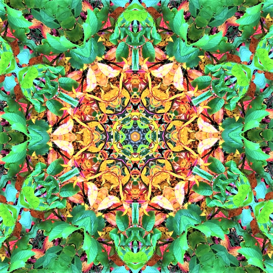 GoetterfunkenDE's tweet photo. Aus der Werkserie „Götterfunken (Naturmandalas)“
#Götterfunken #Naturmandalas #Kunst #Fotografie #DigitalArt #NaturPur #Blumen #Pflanzen #Meditation #Yoga #Frieden #Freiheit #BlickNachInnen #Heilig #Leben #Schöpfung #Gaia #Urquelle #Liebe #IchBin https://t.co/iQBkw1OtKH