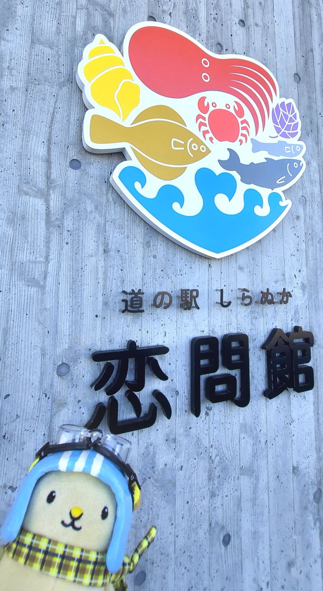 ayk_cc55's tweet photo. 新しくなってから初めて来たキュン。おしゃれになった道の駅しらぬか。
イカさんとタコさんと写真撮りたいけどどこにいるか分かんなくて探しちゃったキュンちゃん😅
今日はどこの道の駅も混み混みで駐車場がほぼ満車。お昼ご飯注文から３０分待ちって言われたけど５０分待ちのところもあったみたい💦 https://t.co/z3p41l09Sj