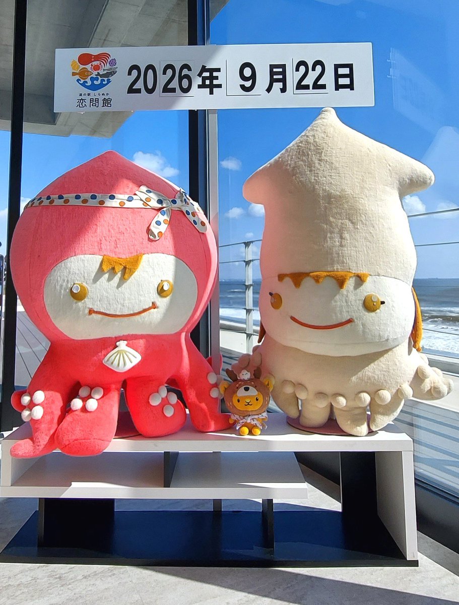 ayk_cc55's tweet photo. 新しくなってから初めて来たキュン。おしゃれになった道の駅しらぬか。
イカさんとタコさんと写真撮りたいけどどこにいるか分かんなくて探しちゃったキュンちゃん😅
今日はどこの道の駅も混み混みで駐車場がほぼ満車。お昼ご飯注文から３０分待ちって言われたけど５０分待ちのところもあったみたい💦 https://t.co/z3p41l09Sj