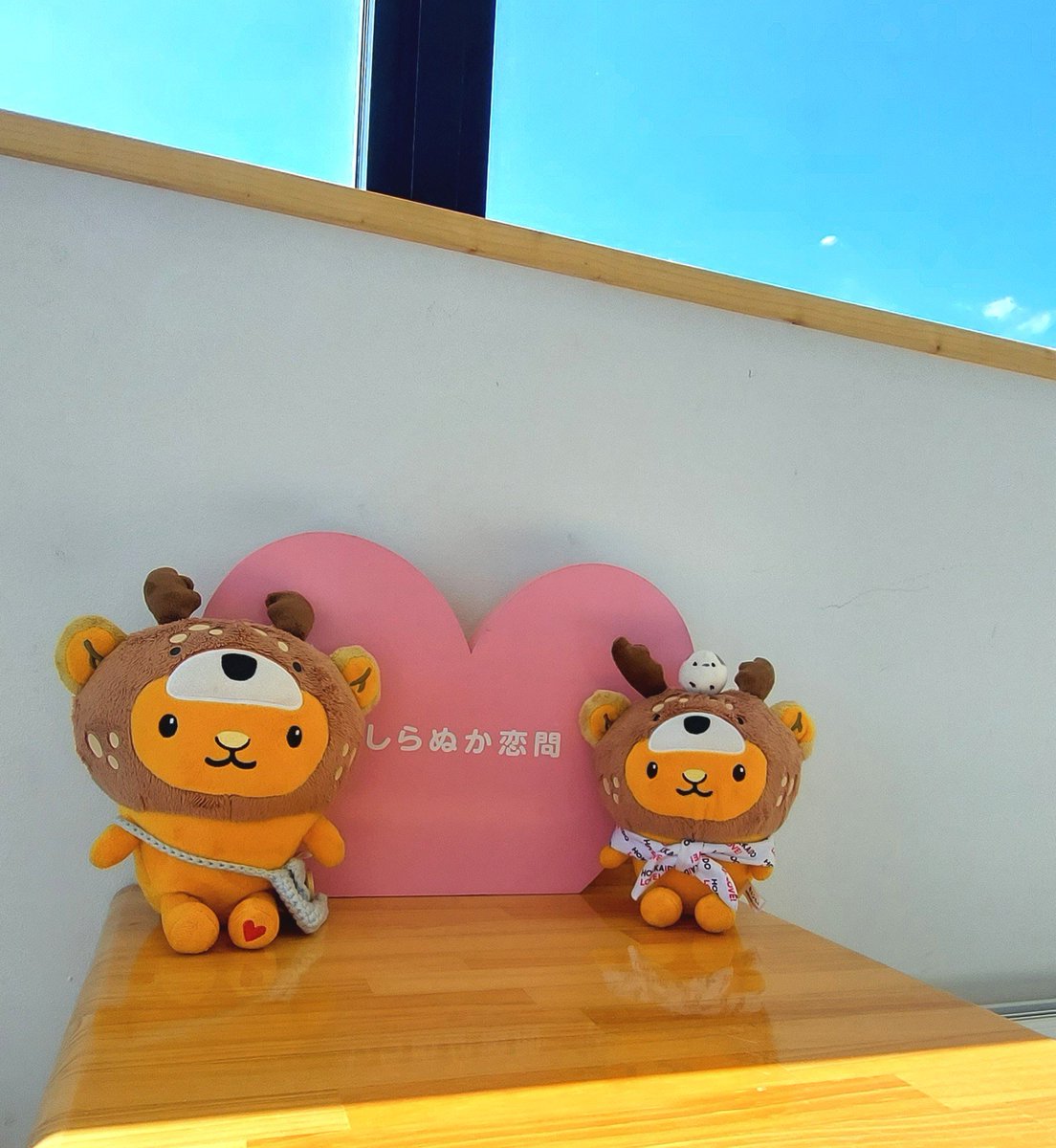 ayk_cc55's tweet photo. 新しくなってから初めて来たキュン。おしゃれになった道の駅しらぬか。
イカさんとタコさんと写真撮りたいけどどこにいるか分かんなくて探しちゃったキュンちゃん😅
今日はどこの道の駅も混み混みで駐車場がほぼ満車。お昼ご飯注文から３０分待ちって言われたけど５０分待ちのところもあったみたい💦 https://t.co/z3p41l09Sj