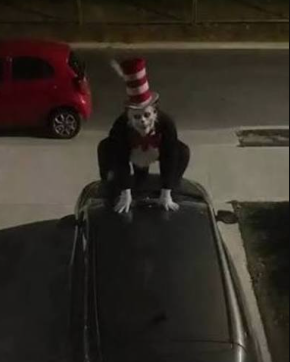 ryderholloway's tweet photo. The Cat in the Hat is trending on TikTok for the worst reason: AI-generated "lurking" videos naming real schools, right as Warner Bros. gears up for its November film.
https://t.co/JzEXZuA7zt
#372WithU @ProfNichols https://t.co/YdCdUEPpQg