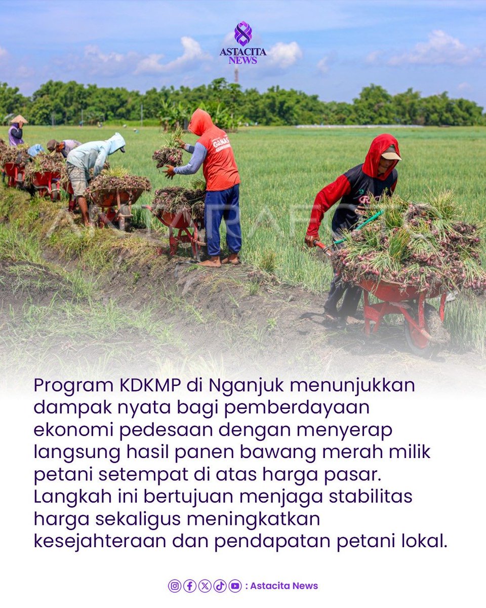 TirtaKamila's tweet photo. Pemberdayaan ekonomi desa: KDKMP Nganjuk serap hasil panen bawang petani di atas harga pasar✍️☑️ https://t.co/otYwHIQQLn