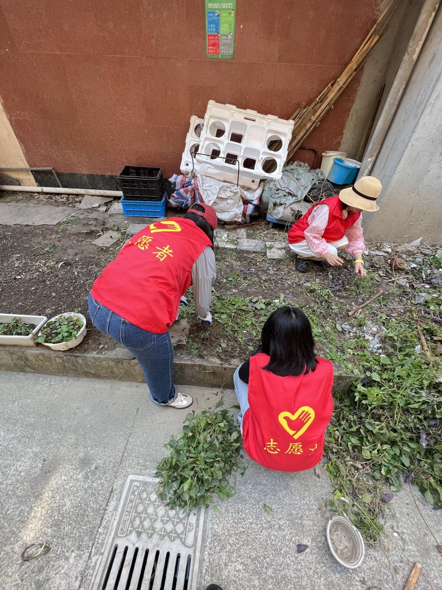 AugustinaZffqv's tweet photo. Local neighborhood garden clean-up this Sat 9am at Central Park! Bring gloves, water u0026 pals—let’s spruce up our community together! Free snacks for all participants. https://t.co/u3t86QmHrR