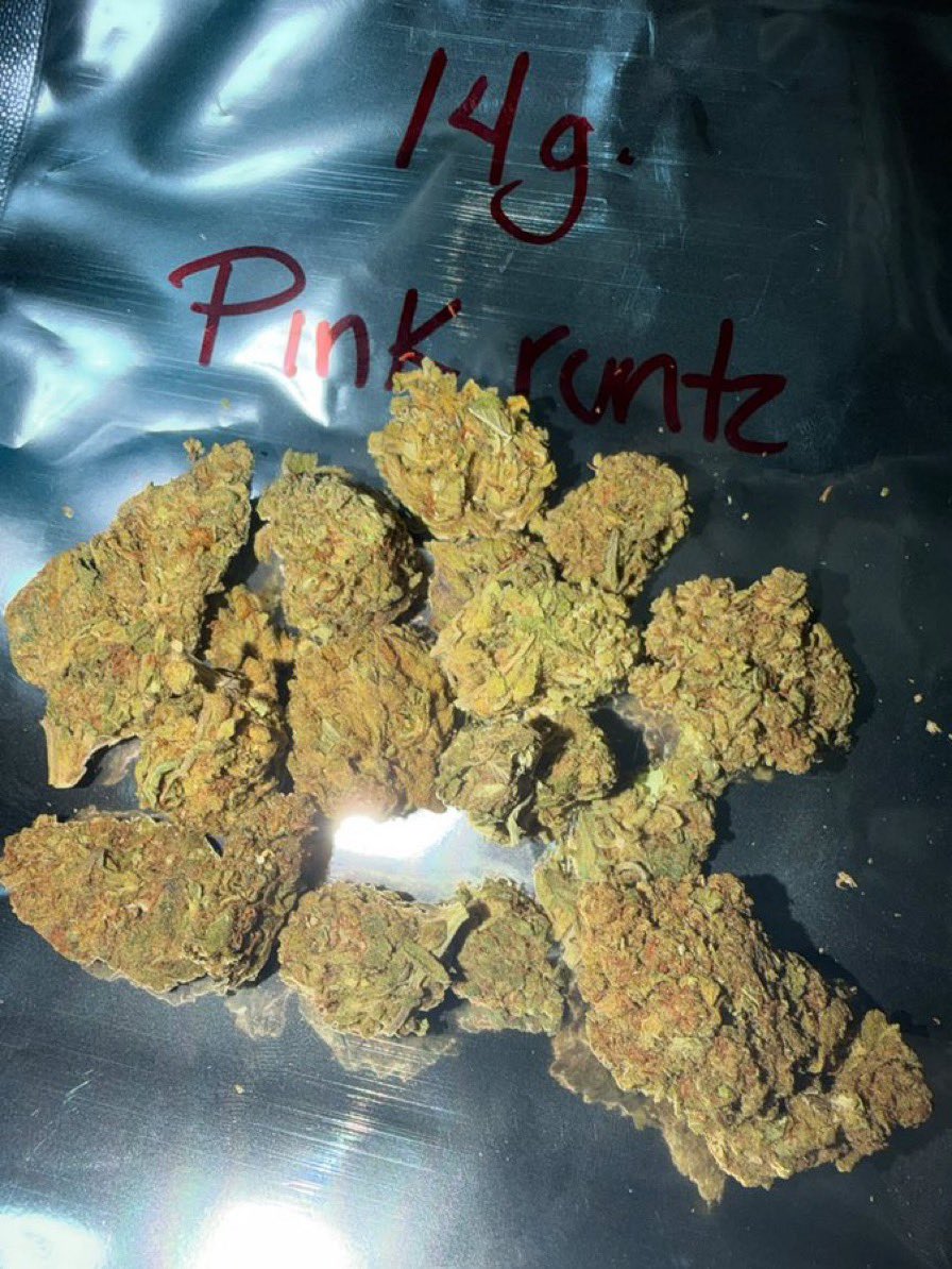 GreencloudCO tweet picture