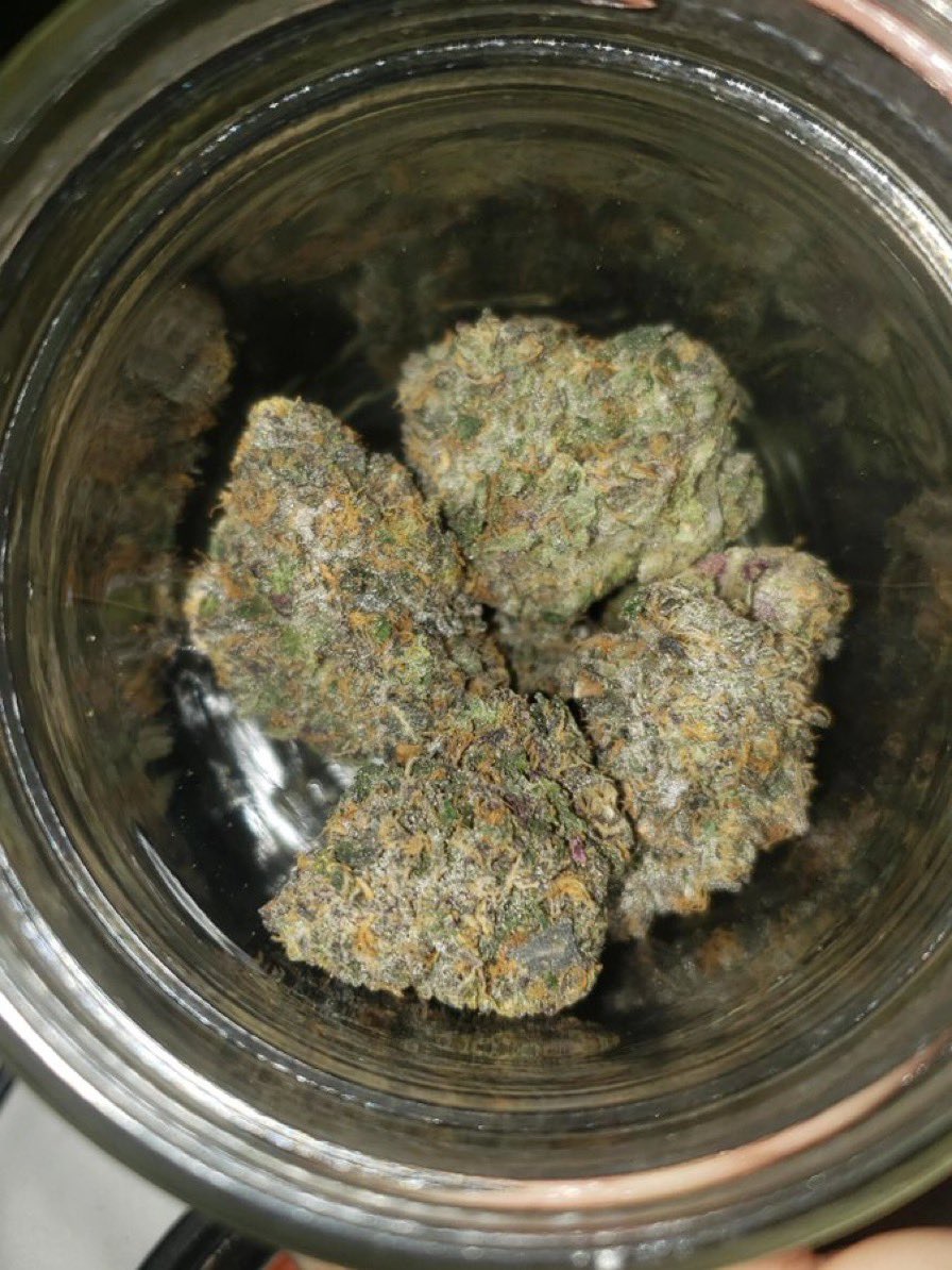 GreencloudCO tweet picture