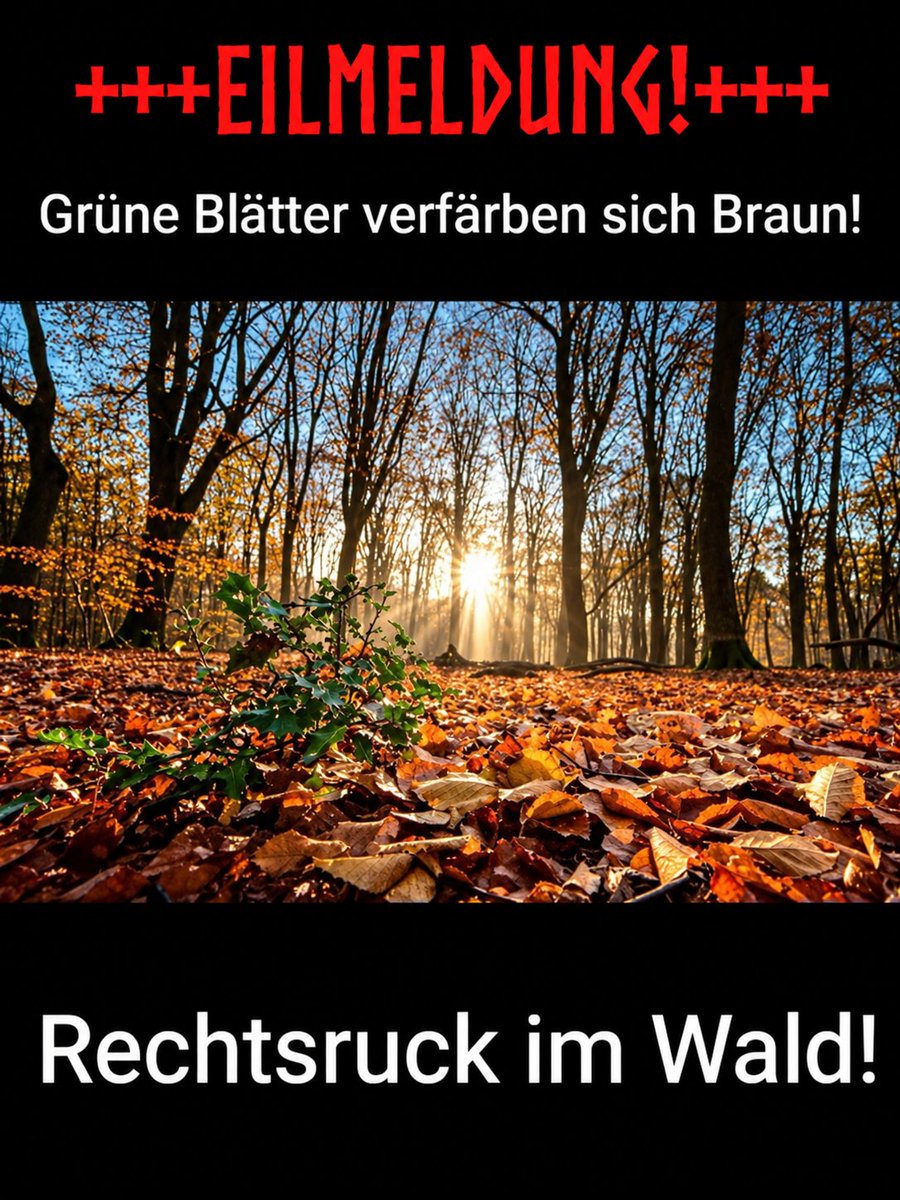Madoxli's tweet photo. verdammt, unser wald ist nazi ! https://t.co/qs0wSn5pqb