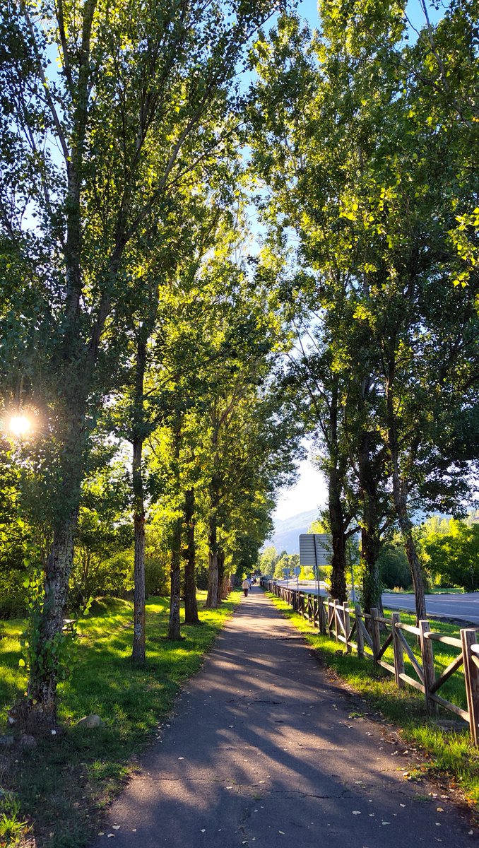 turismolaciana's tweet photo. 🚫🚗En el Día Mundial sin Coche, os invitamos a apagar el motor, y encender los sentidos (también los buenos hábitos) en el Valle de Laciana, caminando👣 o pedaleando🚴🏻♂️ por el camino natural vía verde de Laciana🌿⛏️
#Laciana #ValledeLaciana #Villablino #MobilityWeek https://t.co/dz9bWxOdcE