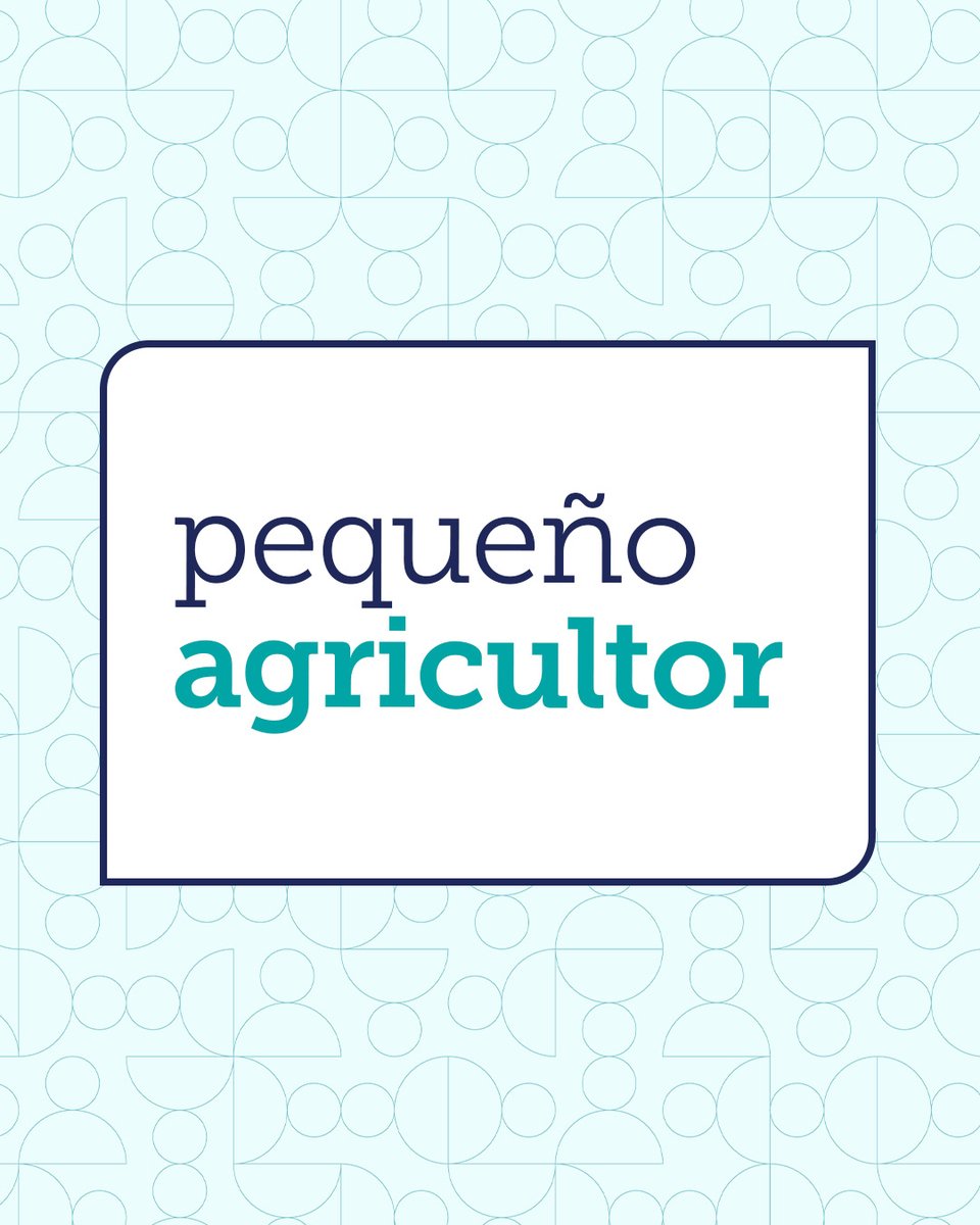 TechnoServe's tweet photo. Regenerative agriculture is a global conversation. But do you know how to speak the language?
Swipe to test your knowledge, then explore TechnoServe’s annual report, available in English, Spanish, French, and Portuguese.
#RegenerativeAgriculture
https://t.co/aD35tkG0MN https://t.co/kvRY2h5Su2