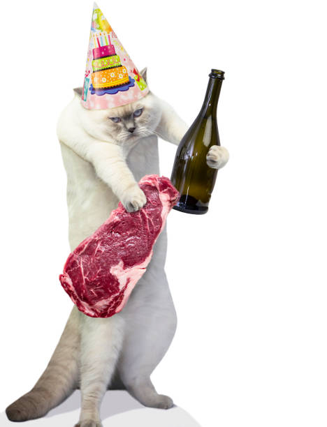 6httygd's tweet photo. 夏の礼文島では猿が佇む姿が見られる。 https://t.co/3YIW351SXF