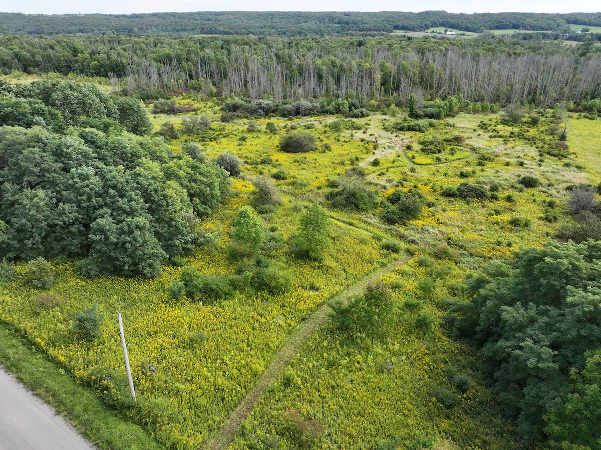 NYLandQuest's tweet photo. 13 acres RECREATIONAL LAND and BUILDING SITE in South Dayton NY.  With scenic countryside views &amp; a peaceful rural atmosphere, this property is a great location to build a home, cabin, weekend getaway.  $49,900.  https://t.co/ujWmHz5Nt3 @NYLandQuest #views #hunting #nylandforsale https://t.co/WKIIwtYCmw