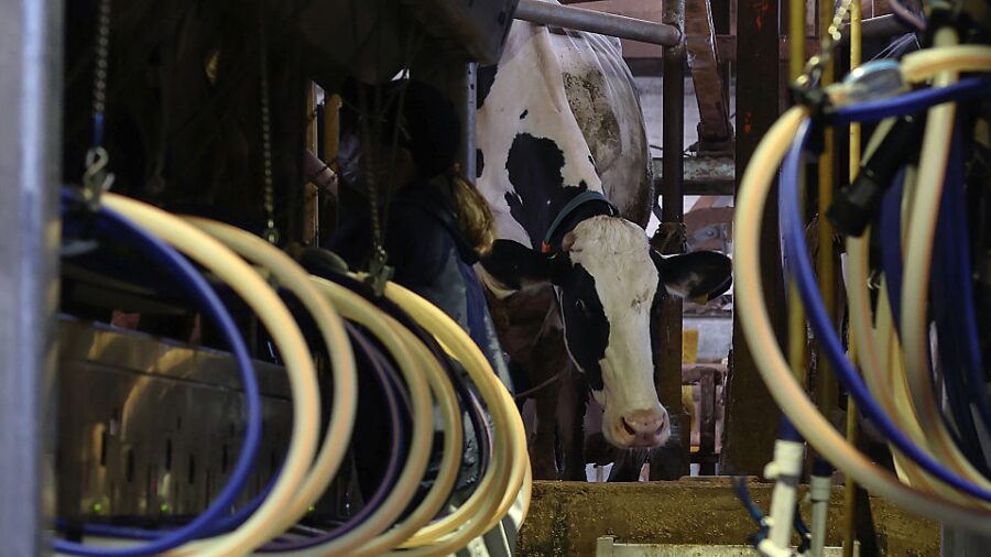 savefarming's tweet photo. SFF Board Member Jason Vander Kooy shares the hard reality that farmers are facing as diesel fuel costs skyrocket and farms are having to make hard decisions as they contemplate the future of their operations in the midst of crippling expenses. https://t.co/OYFKfbsPlo https://t.co/il95BkjeOb