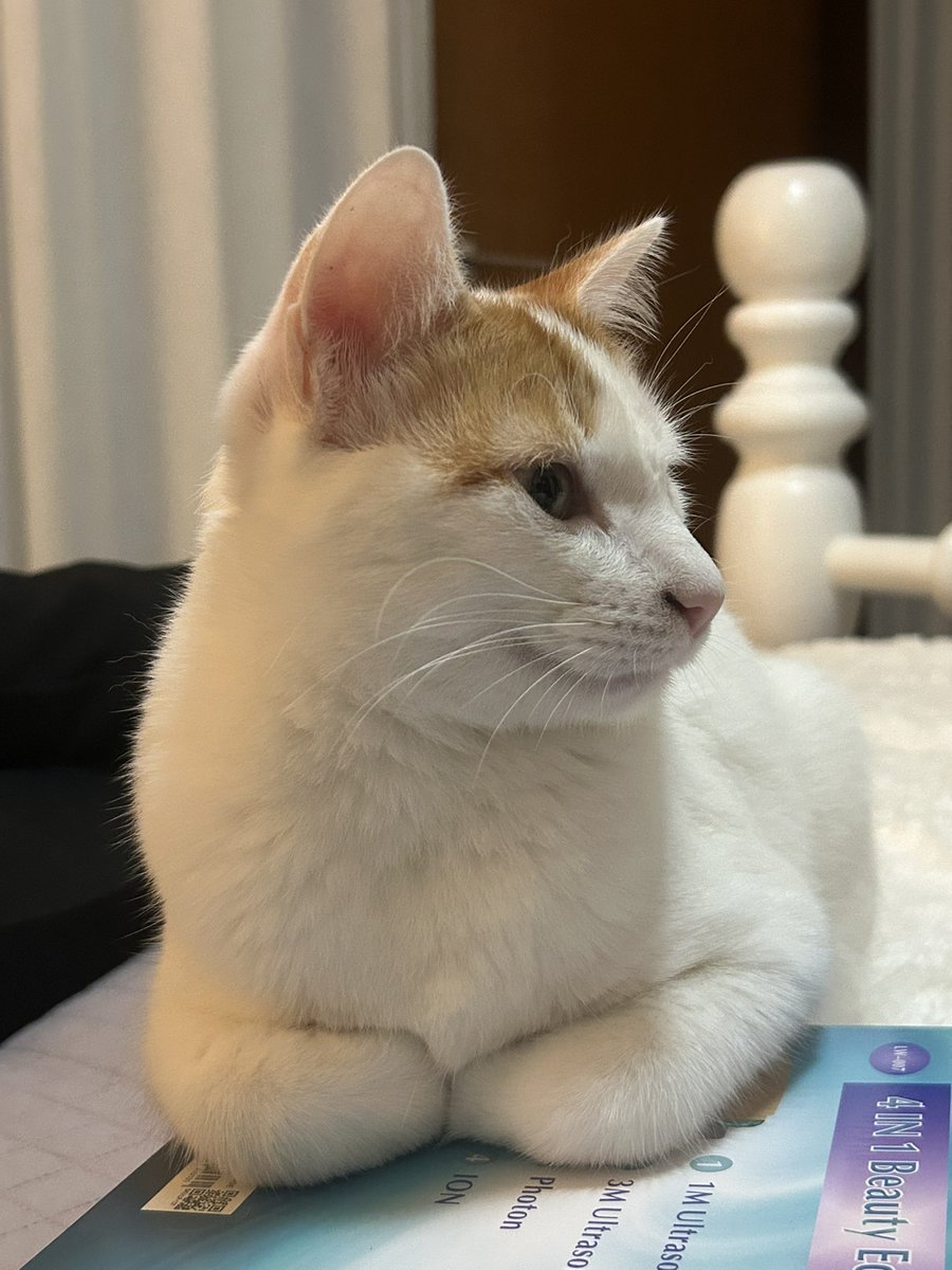 giozitos's tweet photo. 10 anos de azar pra quem não der parabéns pro bruce que faz 1 ano hoje https://t.co/BSZ7aRC6Ed